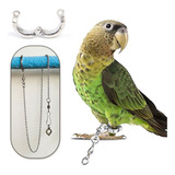 Corrente De Pé Dividida De Aço Inoxidável Para Papagaio Gran Cor Prateado