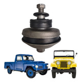 Willys