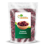 Cranberry Fruta Seca Desidratado Premium Safra Nova - 500g