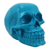 Crânio Caveira Azul Turquesa Resina Esqueleto Decorativo