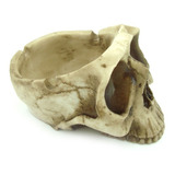 Crânio Caveira Cinzeiro Decorativo Em Resina Skull Ossos