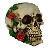 Cranio Caveira Com Rosas No Rosto