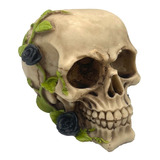 Cranio Caveira Com Rosas Pretas No