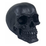 Crânio Caveira Esqueleto Black Skull Preto Decorativo