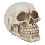 Crânio Caveira Esqueleto De Resina Newton P/ Decoração