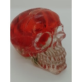 Crânio Caveira Esqueleto Skull Decorativo Resina Cristal