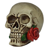 Cranio Caveira Newton Com Rosa Na