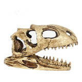 Cranio Dinossauro 18x5 5x11cm