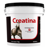 Creatina 2 Kg - Vetnil (massa