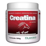 Creatina Lavizoo - 500 Gr - Creatina Para Equinos E Potros