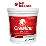 Creatina Lavizoo 500g - Creatina Para Equinos E Potros