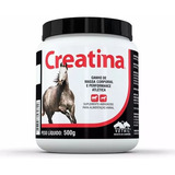 Creatina Suplemento Para Cavalos E Cães Vetnil 500g