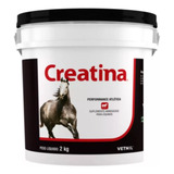 Creatina Vetnil 2kg Suplemento Potros Equinos cavalo brinde