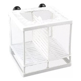Criadeira Cr-02 Maternidade De Tela Com Divisória 16x14x15cm