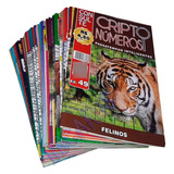Cripto Criptograma Passatempos Inteligentes Exercício Mental