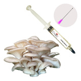 Cultura Líquida Cogumelo Shimeji Branco Pleurotus Ostreatus