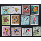 D2582 - Austrália - Fauna Pássaros