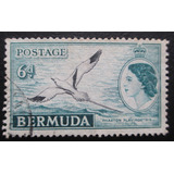 D2733 - Bermudas - Fauna Ave Yvert Nº 141 Circ De 1955