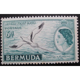 D2734 - Bermudas - Fauna Ave Yvert Nº 141 Nn De 1955