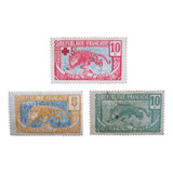 D2837 - Congo Frances - Fauna Leopardo Yvert Nº 66/8 N/circ