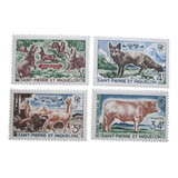 D3646 - Saint Pierre E Miquelon - Fauna Yvert Nº 372/5 Nn D