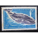 D3754 - Taaf - Fauna Baleia Yvert Nº 22 Nnn De 1966
