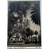 D6067 - Cartão Postal De São Paulo - Teatro Municipal Fotola