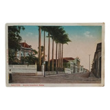 D7083 - Santos - Cartão Postal De 1916 Com A Imagem Da Aveni
