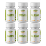 Damiana (planta Medicinal) Extrato Em Cápsulas/500mg 6 Potes