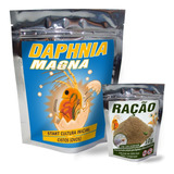 Daphnia Alimento Vivo - Magna Start