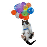Gato
