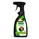 500ml