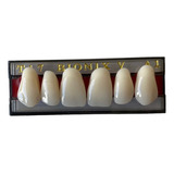 Dente Acrílico Natural Superior T17 Para Prótese Dentária