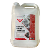 Detergente Desengordurante Alcalino Concentrado 5l Ekkos