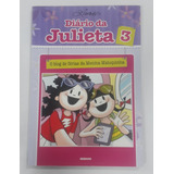Diário Da Julieta 3: O Blog De Férias Da Menina Maluquinha De Ziraldo Pela Globo (2001)