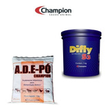Champion
