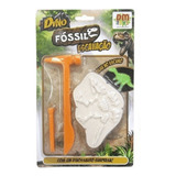 Dino Fossil Escavação Brilha No Escuro Dmt5753 - Dm Toys