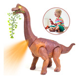 Dinossauro Bota Ovo Som Luz Anda Eletrico Grande Brinquedo
