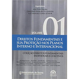 Direitos Fundamentais E Sua Proteção Nos Planos Interno E Internacional