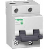 Disjuntor Bipolar 125a Curva C Easy9 Schneider ( Bifásico )