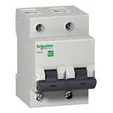 Disjuntor Mini Din Bipolar 100a Curva C 230/400v Schneider