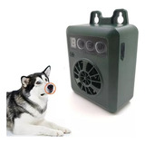 Cães