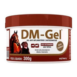 Dm Gel Anti-inflamatório Gel AnaLGésico Vetnil 300g