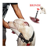 Dog Adestrador Mordedor Profissional Resistente+apito Brinde