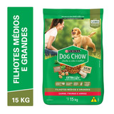 Dog Chow Vida Saudável Filhote Desenvolvimento Saudável 15kg