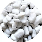 Dolomita 20 Kg Pedra Marmore Seixo Branco Rolado Nº 2
