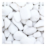 Dolomita 5 Kg Pedra Mármore Seixo Branco Rolado Nº 03