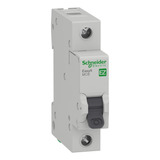 Schneider