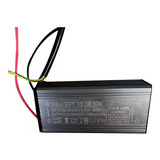 Bivolt
