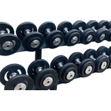 Dumbells Injeta Par De 10 12